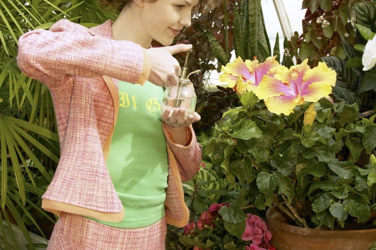 Regar una planta muriendo con agua azucarada no necesariamente la salvará.