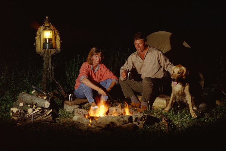 Tu perro merece también unas vacaciones en campamento.