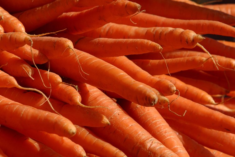 Las zanahorias pueden ser usadas para hacer colorantes.