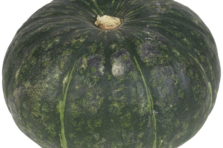 El zapallito tiene una cáscara verde oscuro y una carne naranja brillante.