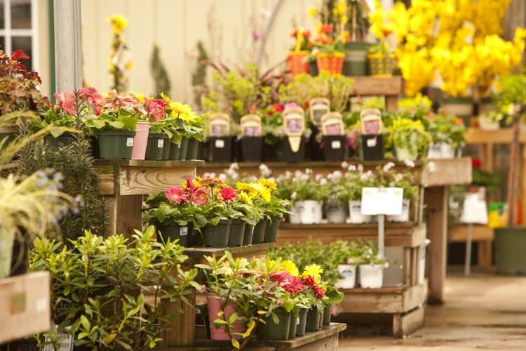 Todas las plantas en macetas necesitan alguna forma de drenar el exceso de agua del suelo.