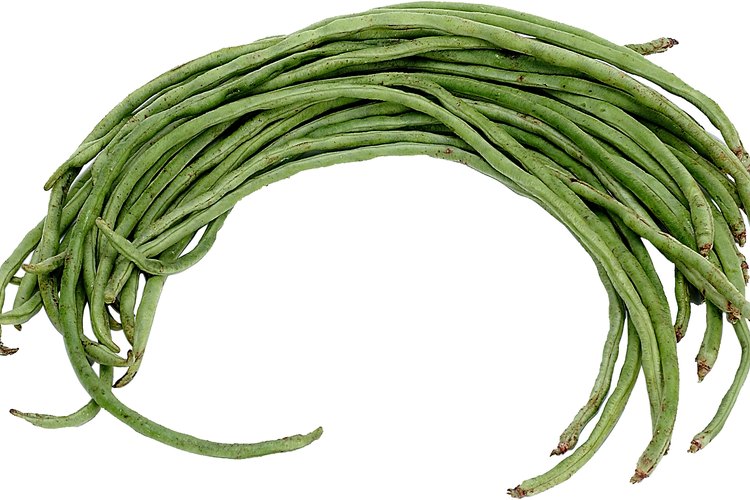 Judías verdes.