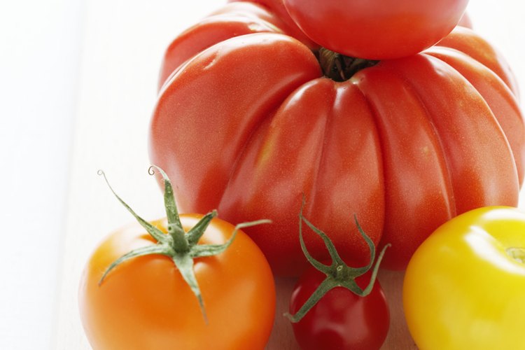 Los tomates son vegetales de clima cálido que no toleran incluso heladas leves.