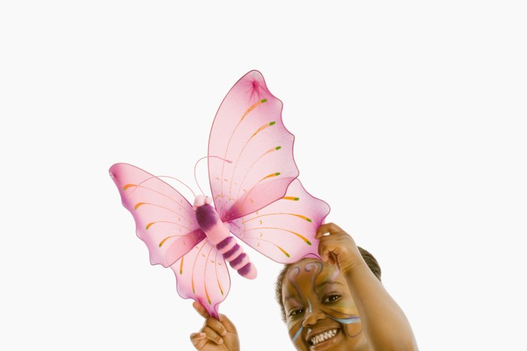 Hermosa mariposa