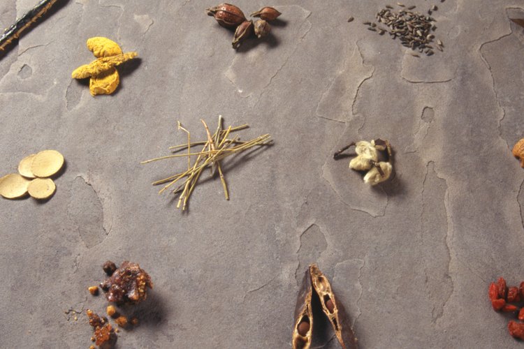 Hay cerca de 700 variedades diferentes de hierbas y plantas que son venenosas para los gatos.