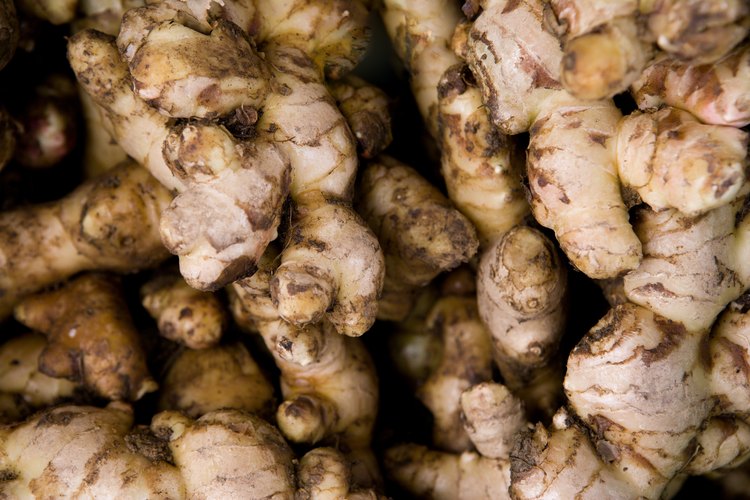Las raíces de jengibre y galangal vienen en variedades diferentes.