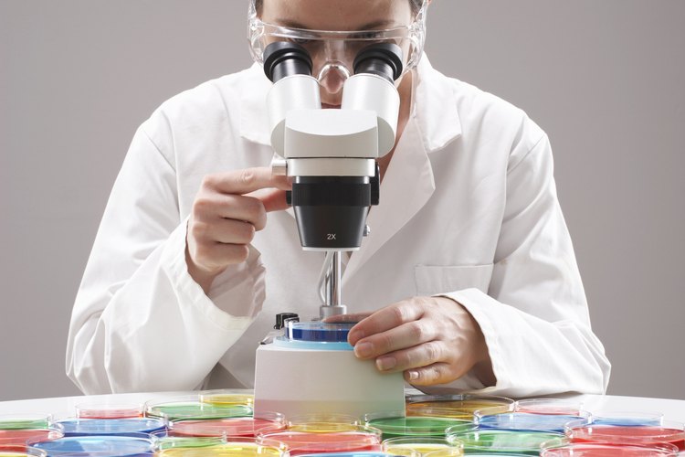 Un laboratorio de biología estaría incompleto sin un microscopio.