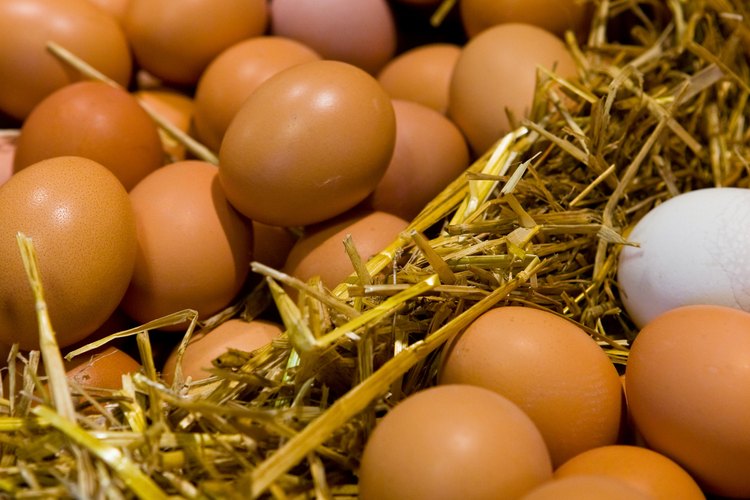 Los huevos en polvo mantienen muchos de los nutrientes originales.