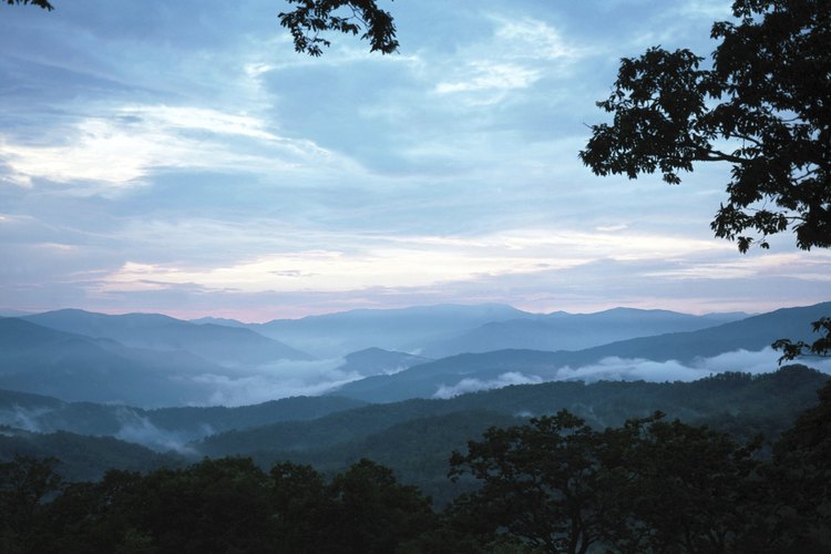 Las nubladas mañanas te esperan en las afueras de tu carpa en las Smoky Mountains.