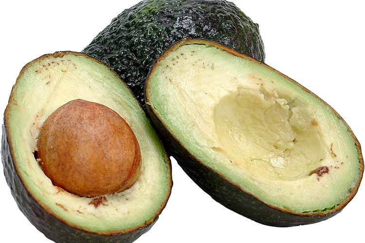 Consigue tu propia planta de aguacate desde una semilla.