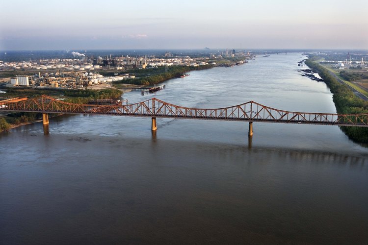 Los cangrejos de río se encuentran generalmente en ríos con poco movimiento.