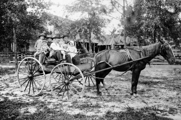 Los niños también pueden aprender el lugar de origen de la familia.