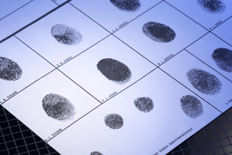 La Oficina de Estadísticas Laborales no clasifica a los criminólogos en una categoría separada.