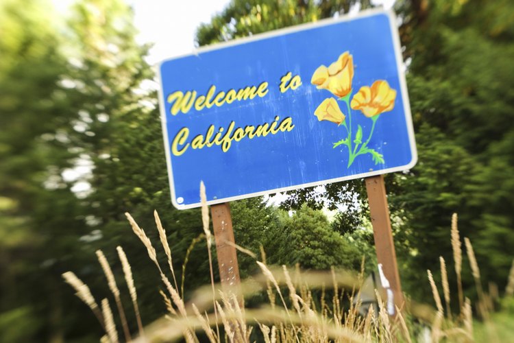 California parece a las familias como un buen lugar para los niños.