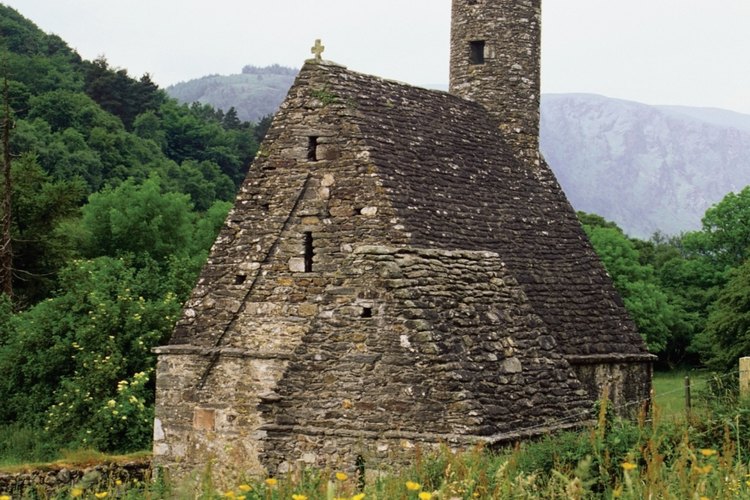 Hay varios cientos de especies de flores silvestres que crecen en Irlanda.