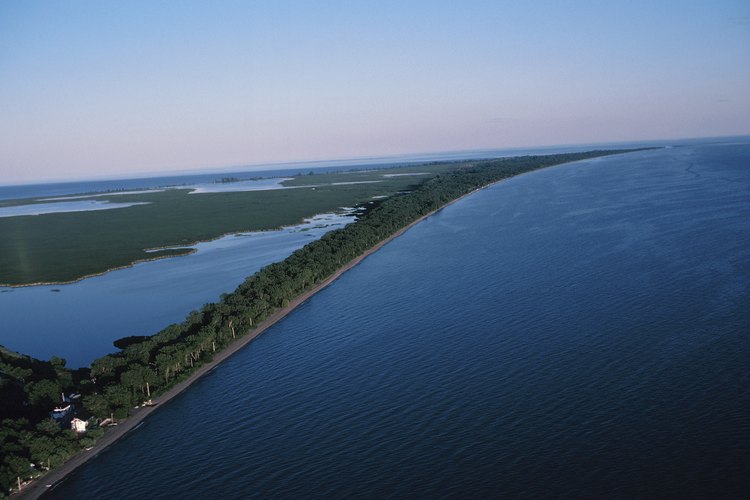 La bahía de la isla Presque sirve como un lugar natural de desove y alimentación de muchos de los peces nativos del lago Erie.