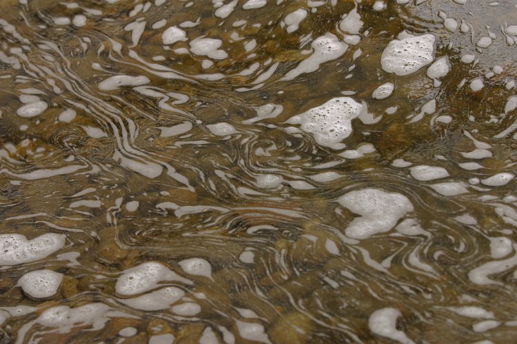 El fósforo se elimina gradualmente en muchos de los fertilizantes, ya que a menudo termina en las aguas subterráneas.