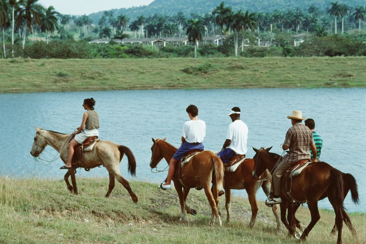 Podrás apreder a montar a caballo.