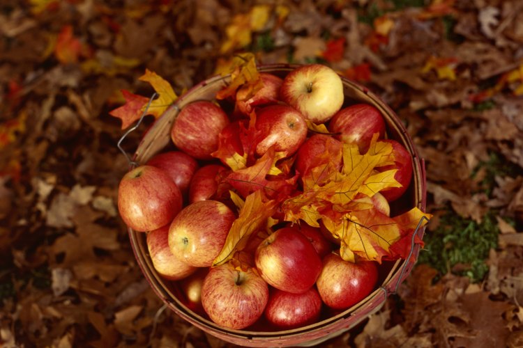 La manzana era una parte regular de la dieta medieval.