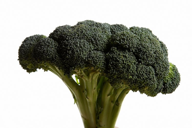 Conoce cuándo la cosecha del brócoli dará mejor sabor.