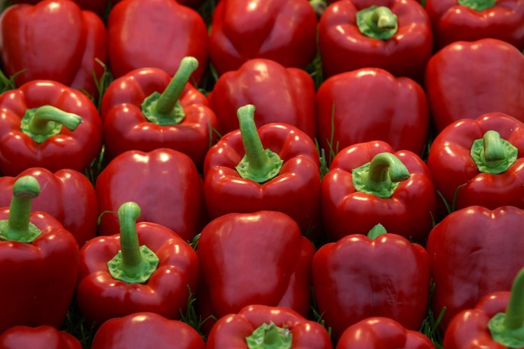 Los pimientos rojos dulces primero se secan, luego se muelen para crear pimentón.
