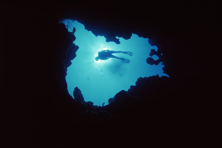 Bucea en el profundo mar azul que rodea la isla.