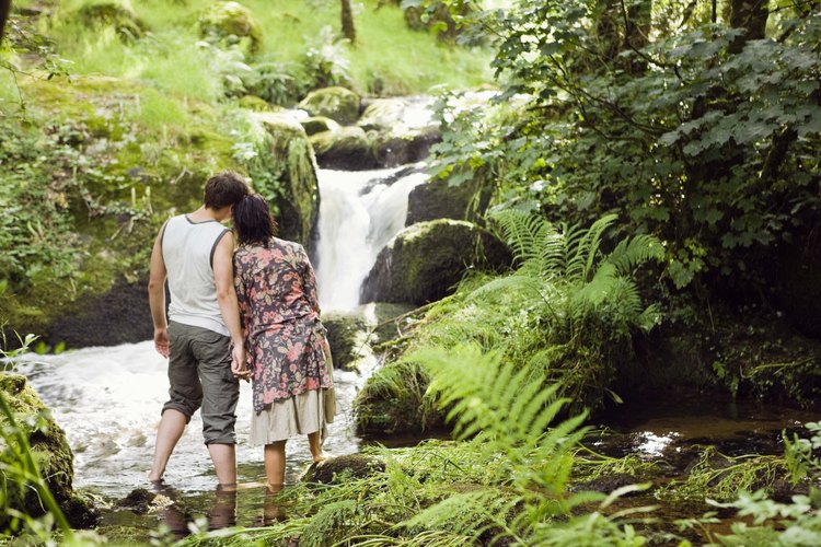 Emula una cascada verdadera agregando plantas a tu cascada de jardín.