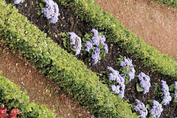 a piedra caliza utilizada en aplicaciones de jardinería es diferente a la cal utilizada en la estabilización de suelos para la construcción.
