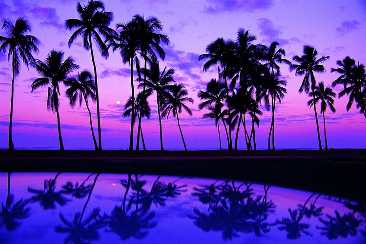 Oahu cuenta con una variedad de museos interesantes.