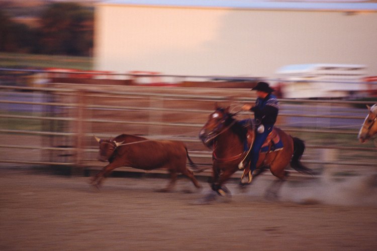 El rodeo cuenta con más público aficionado que el fútbol.