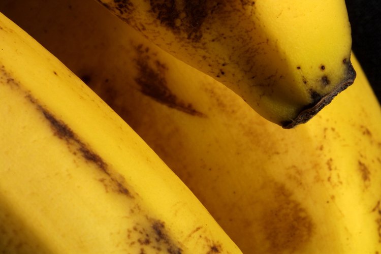 Para que las rodajas deshidratadas sean más dulces, la piel debería presentar pecas marrones antes de deshidratarlas.