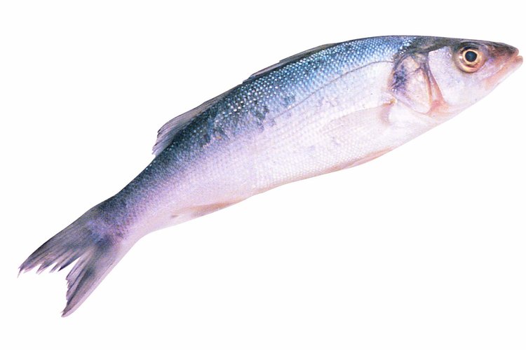Si no consigues lubina, reemplázala con róbalo rayado o pargo rojo.