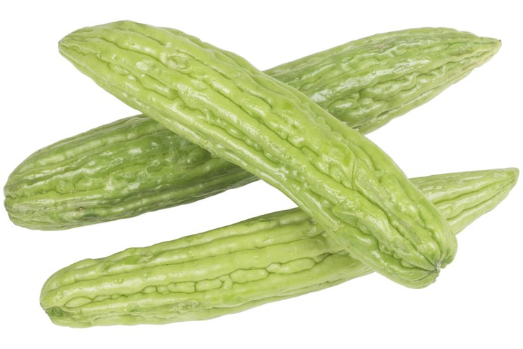 El nombre científico de los pepinos es cucumis sativus.
