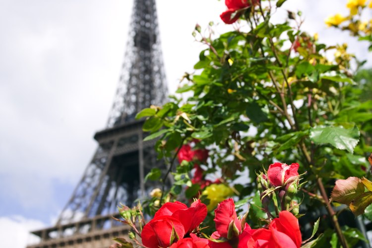 Calcomanías de pared de monumentos de Paris, tal como la Torre Eiffel.