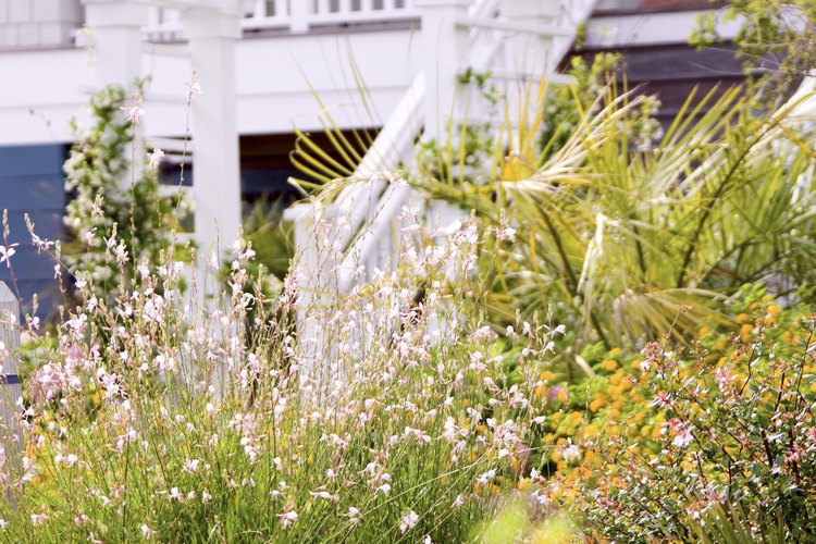 Los arcos florales crean interés en jardines y fiestas.