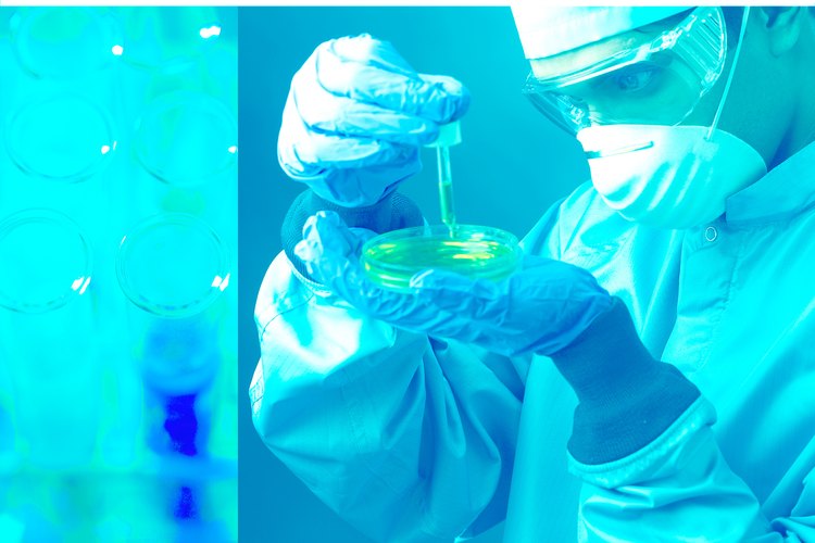 Los cestodos realizan respiración anaerobia, lo que significa que pueden vivir en ambientes sin oxígeno.