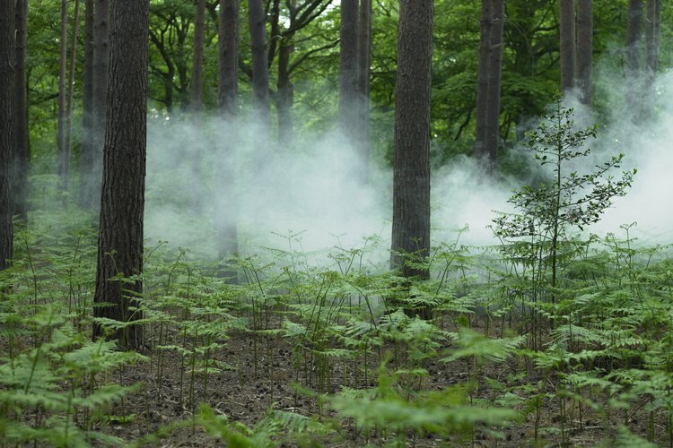 Causas de los desastres naturales Geniolandia