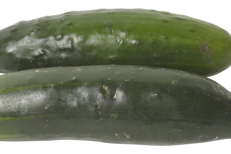 Existen muchos cultivares de pepino.