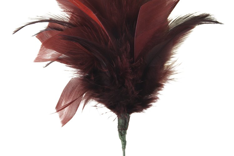 Plumas de distintos colores.