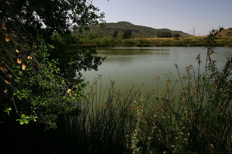 Pasea junto al único lago natural de Orange County en Laguna Coast Wilderness Park.