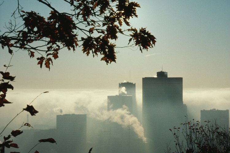 Con tu ayuda se puede reducir esa contaminación ambiental.