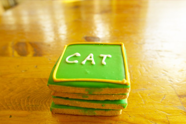 Utiliza bocadillos para gato como recompensa cuando enseñes nuevos trucos a tu gato.