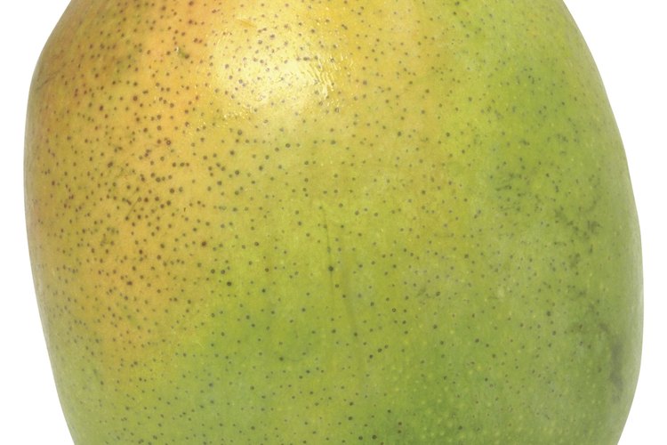 La fruta del mango contiene una corteza dura que encierra una semilla o pepita pequeña, con forma de riñón.
