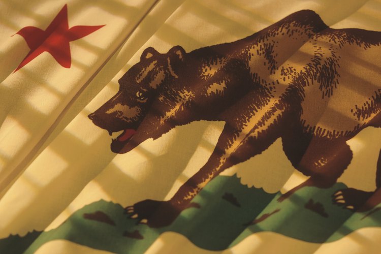 Conducir sin licencia en el estado de California implica sanciones que van de sólo multas hasta encarcelamiento.