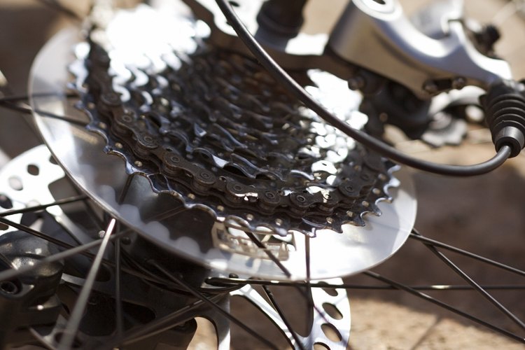 Clarks Hill cuenta con senderos adecuados para principiantes y expertos ciclistas de montaña.