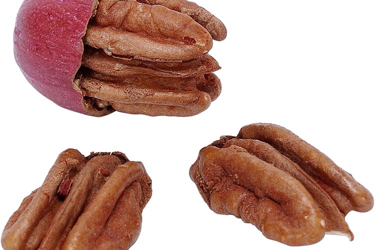 Las nueces además de ser deliciosas, aportan nutrientes.