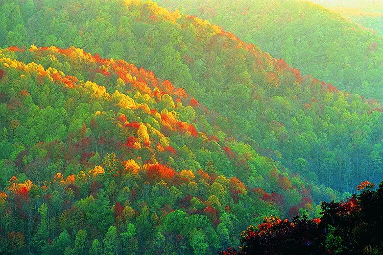Las Blue Ridge Mountains del norte de Georgia proporcionan algunas de las oportunidades más salvajes del estado para acampar.