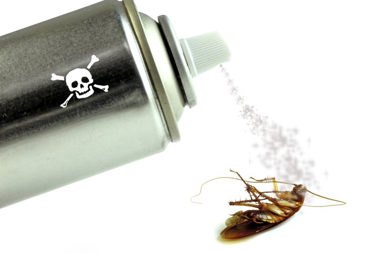 Fumigadores de insectos e insecticidas.