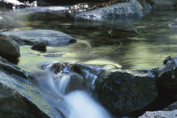 Ríos y arroyos.