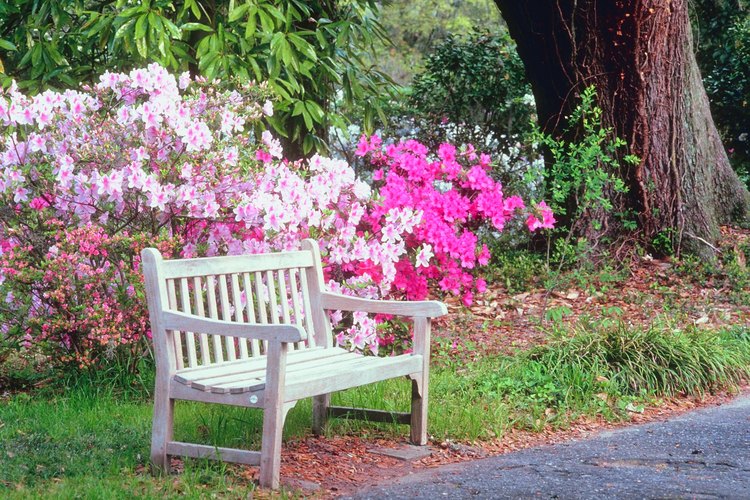Prepara el suelo para cultivar un jardín de flores.